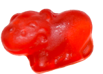 Healthy Hippo
