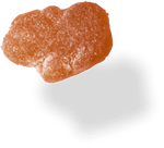 Healthy Hippo